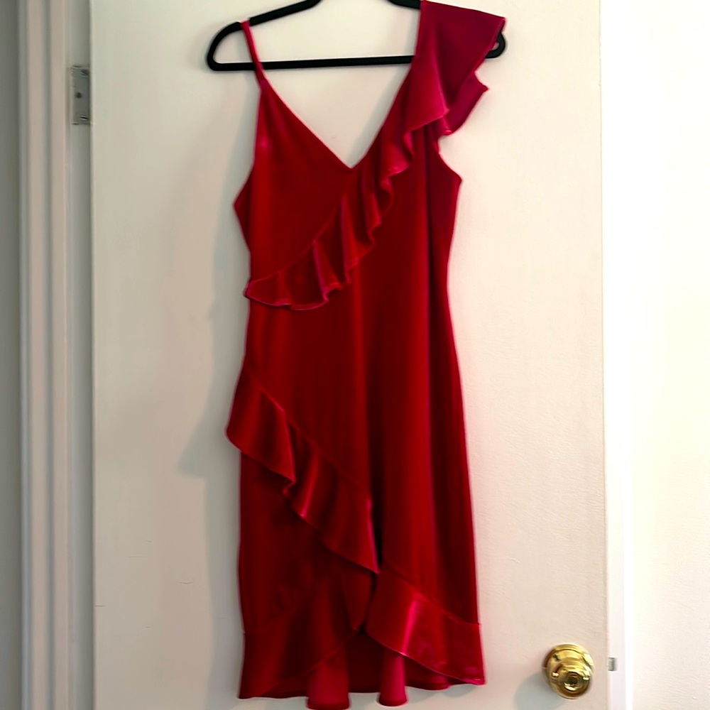 Nearly New Express Red Velvet Dress